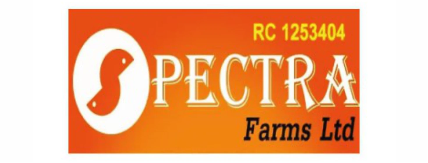 First Fiducia Projects Ltd - Our Cleints